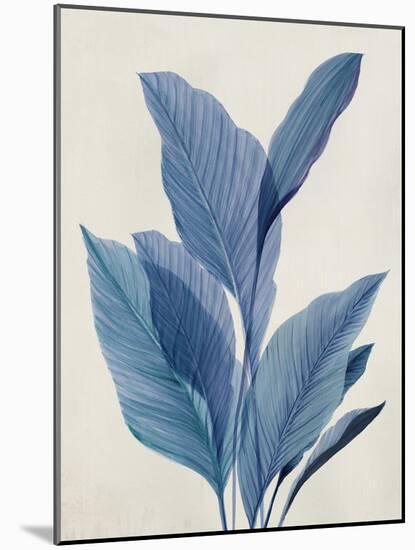 Blue Palm Leaves I-Aria K-Mounted Art Print