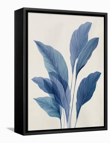 Blue Palm Leaves II-Aria K-Framed Stretched Canvas