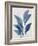 Blue Palm Leaves II-Aria K-Framed Art Print