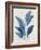 Blue Palm Leaves II-Aria K-Framed Art Print