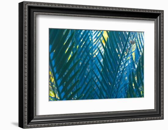 Blue Palms, Antibes-Caroyl La Barge-Framed Photographic Print