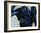 Blue Pansy-Sydney Edmunds-Framed Giclee Print