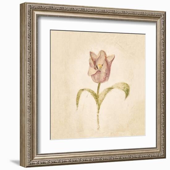 Blue Parrot Tulip on White Crop-Cheri Blum-Framed Art Print