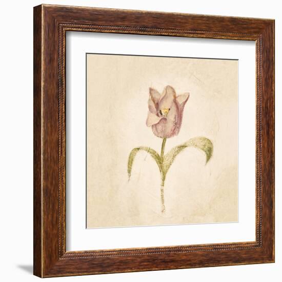 Blue Parrot Tulip on White Crop-Cheri Blum-Framed Art Print