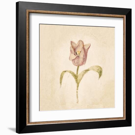 Blue Parrot Tulip on White Crop-Cheri Blum-Framed Art Print