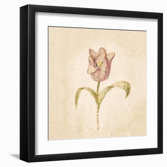 Blue Parrot Tulip on White Crop-Cheri Blum-Framed Art Print