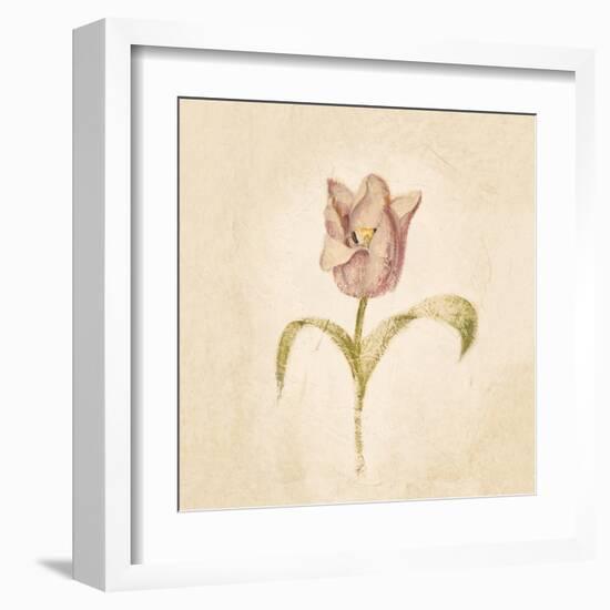 Blue Parrot Tulip on White Crop-Cheri Blum-Framed Art Print