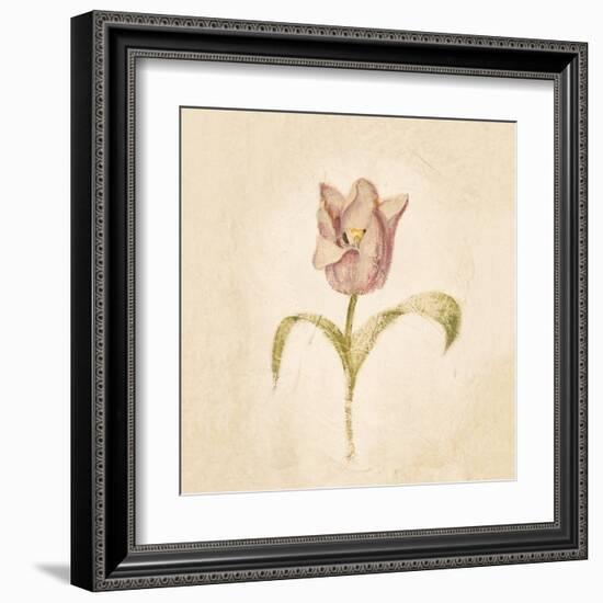 Blue Parrot Tulip on White Crop-Cheri Blum-Framed Art Print