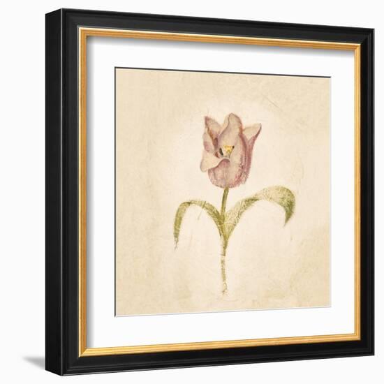 Blue Parrot Tulip on White Crop-Cheri Blum-Framed Art Print