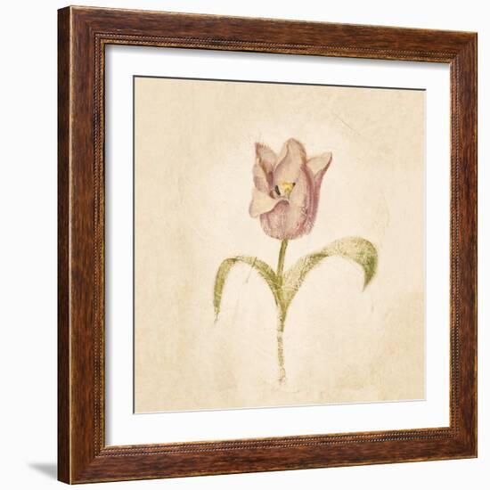 Blue Parrot Tulip on White Crop-Cheri Blum-Framed Art Print