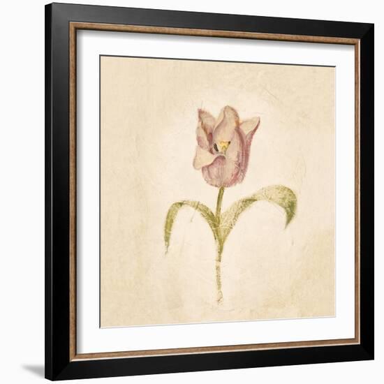 Blue Parrot Tulip on White Crop-Cheri Blum-Framed Art Print