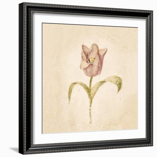 Blue Parrot Tulip on White Crop-Cheri Blum-Framed Art Print