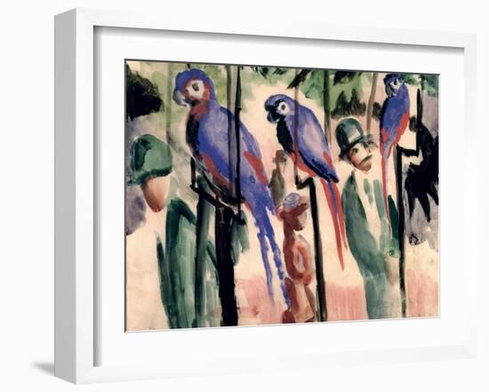 Blue Parrots-Auguste Macke-Framed Giclee Print