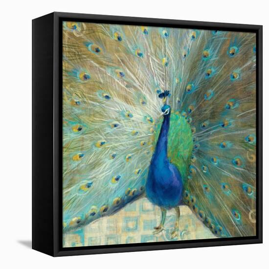 Blue Peacock on Gold-Danhui Nai-Framed Stretched Canvas