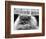 Blue Persian Cat in the National Cat Club Championship at the Olympia-null-Framed Photographic Print