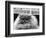 Blue Persian Cat in the National Cat Club Championship at the Olympia-null-Framed Photographic Print