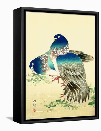Blue Pigeons-Bairei Kono-Framed Premier Image Canvas