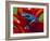 Blue Poison Dart Frog, Surinam-Adam Jones-Framed Photographic Print