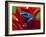 Blue Poison Dart Frog, Surinam-Adam Jones-Framed Photographic Print