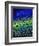Blue Poppies 674160-Pol Ledent-Framed Art Print