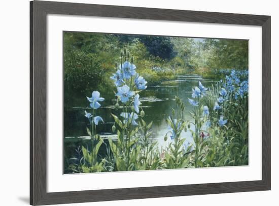 Blue Poppies-Peter Ellenshaw-Framed Art Print