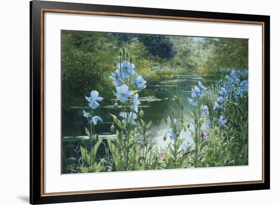 Blue Poppies-Peter Ellenshaw-Framed Art Print