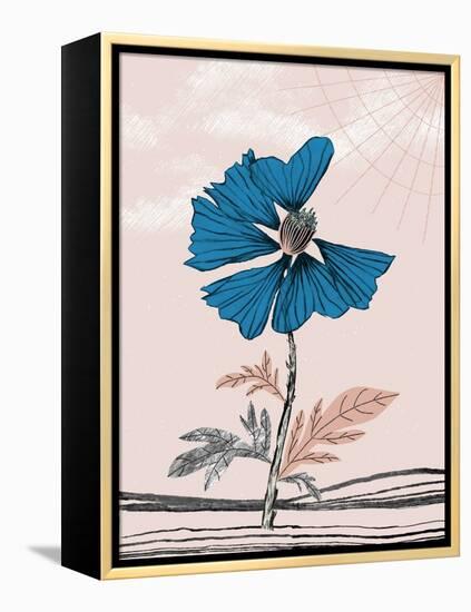 Blue Poppy-Cody Alice Moore-Framed Stretched Canvas