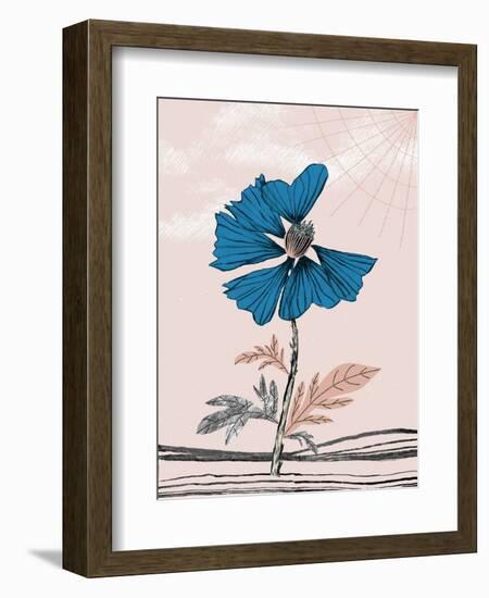 Blue Poppy-Cody Alice Moore-Framed Art Print