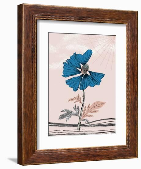 Blue Poppy-Cody Alice Moore-Framed Art Print