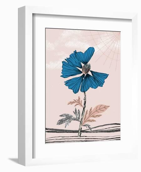 Blue Poppy-Cody Alice Moore-Framed Art Print