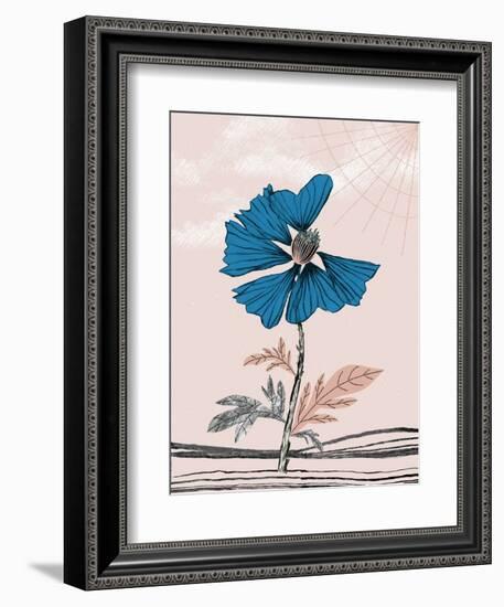 Blue Poppy-Cody Alice Moore-Framed Art Print