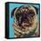 Blue Pug-Carolee Vitaletti-Framed Stretched Canvas