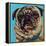 Blue Pug-Carolee Vitaletti-Framed Stretched Canvas