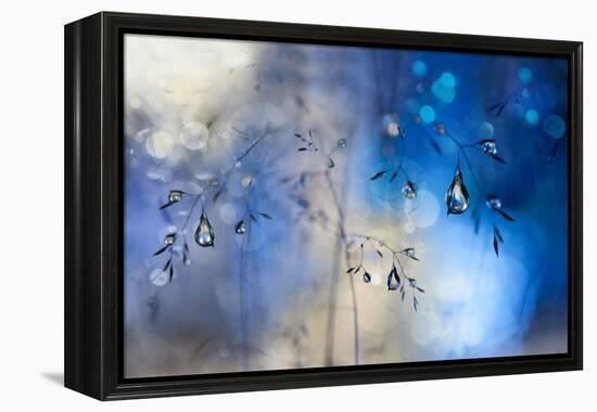 Blue Rain-Heidi Westum-Framed Premier Image Canvas