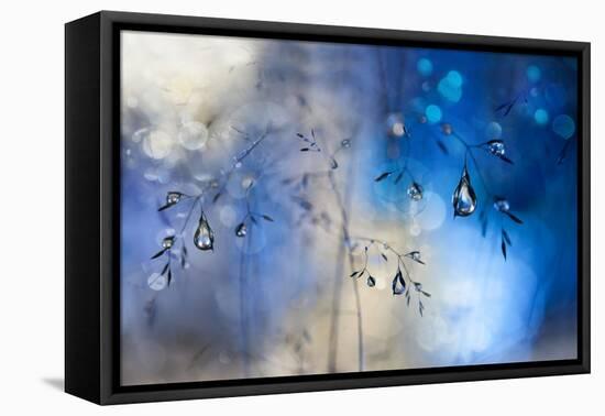 Blue Rain-Heidi Westum-Framed Premier Image Canvas