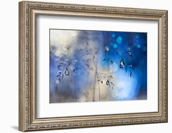 Blue Rain-Heidi Westum-Framed Photographic Print