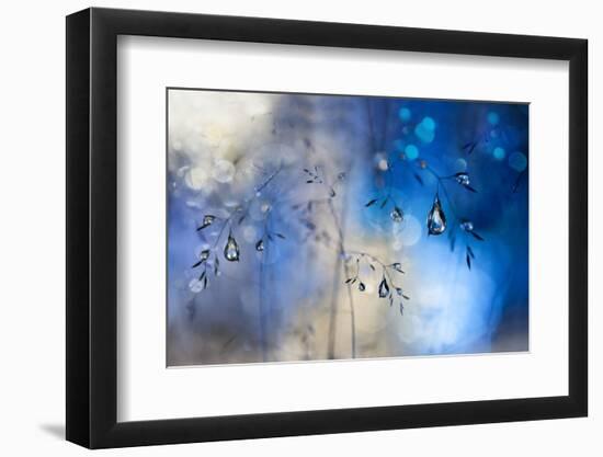 Blue Rain-Heidi Westum-Framed Photographic Print