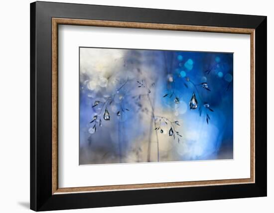 Blue Rain-Heidi Westum-Framed Photographic Print