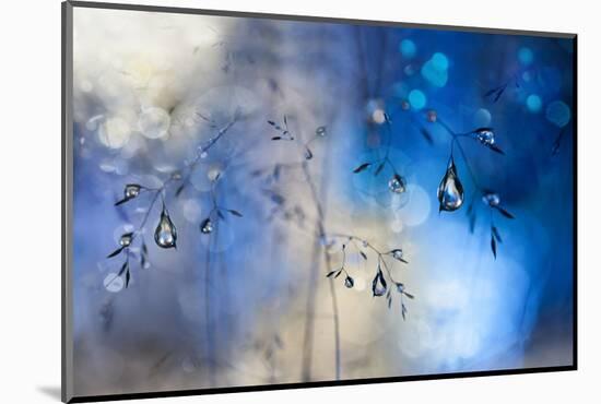 Blue Rain-Heidi Westum-Mounted Photographic Print