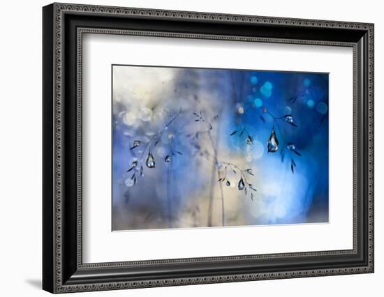 Blue Rain-Heidi Westum-Framed Photographic Print