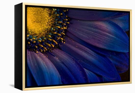 Blue Rays-Thorsteinn H.-Framed Premier Image Canvas