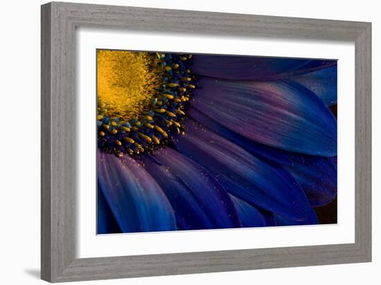 Blue Rays-Thorsteinn H.-Framed Photographic Print