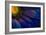 Blue Rays-Thorsteinn H.-Framed Photographic Print