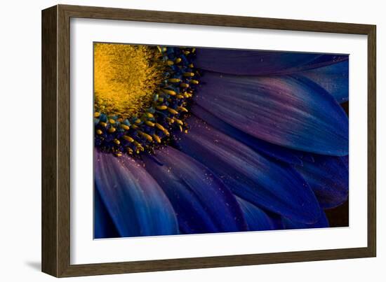 Blue Rays-Thorsteinn H.-Framed Photographic Print