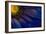 Blue Rays-Thorsteinn H.-Framed Photographic Print