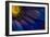 Blue Rays-Thorsteinn H.-Framed Photographic Print