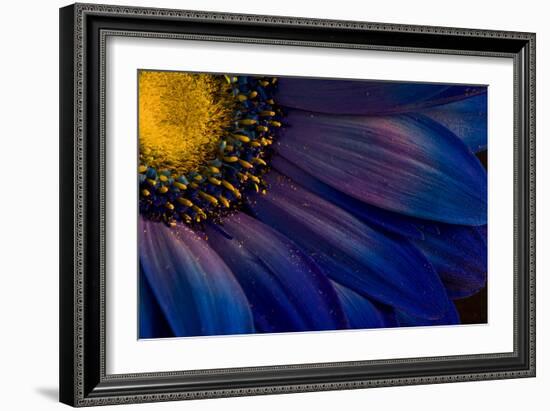 Blue Rays-Thorsteinn H.-Framed Photographic Print