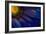 Blue Rays-Thorsteinn H.-Framed Photographic Print