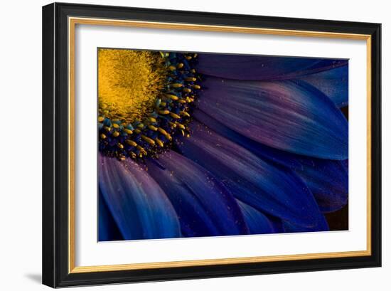 Blue Rays-Thorsteinn H.-Framed Photographic Print