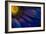 Blue Rays-Thorsteinn H.-Framed Photographic Print